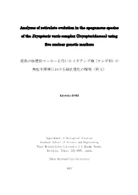 Analyses of Reticulate Evolution in the Apogamous Species of The