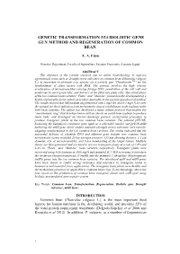Genetic Transformation Via Biolistic Gene Gun Method and Regeneration of Common Bean