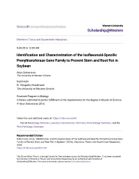 Identification and Characterization of the Isoflavonoid-Specific Prenyltransferase Gene Family to Prevent Stem and Root Rot in Soybean
