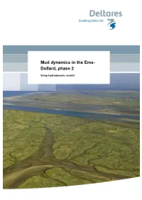 Mud Dynamics in the Ems-Dollard, Phase 2