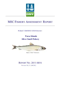 Validation Report