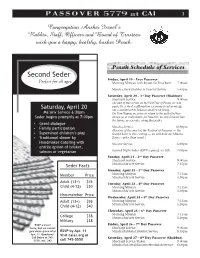 Passover 5770 Pullout