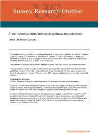 A Non-Canonical Mismatch Repair Pathway in Prokaryotes
