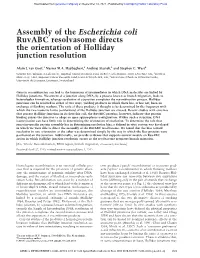 Assembly of the Escherichia Coli Ruvabc Resolvasome Directs the Orientation of Holliday Junction Resolution
