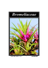 Bromeliaceae