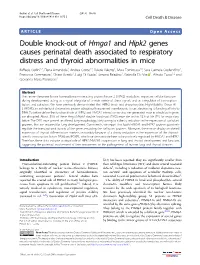 Double Knock-Out of Hmga1 and Hipk2 Genes Causes Perinatal