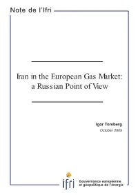 Iran in the European Gas Market: a Russian Point of View