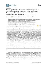 First Report on the Occurence of Dermatophytes of Microsporum