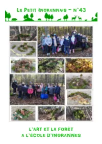 L'art Et La Forêt a L'école D'ingrannes