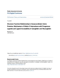 Mechanism of Globin X Interactions with Exogenous Ligands and Ligand Accessiblity in Cytoglobin and Neuroglobin