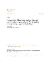 Sequencing and Functional Analysis of a Multi-Component Dioxygenase from PAH-Degrading Sphingomonas Paucimobilis EPA505" (2010)