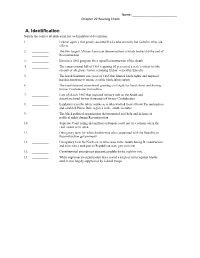 A. Identification Supply the Correct Identification for Each Numbered Description