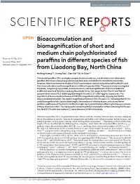 Bioaccumulation and Biomagnification of Short and Medium Chain