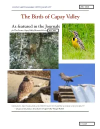 Bird Book 2020 for Website Ipages