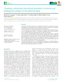 Cheating in Arbuscular Mycorrhizal Mutualism: a Network and Phylogenetic Analysis of Mycoheterotrophy
