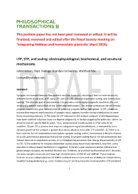 LTP, STP, and Scaling: Electrophysiological, Biochemical, and Structural Mechanisms