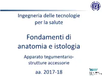 Presentazione Standard Di Powerpoint