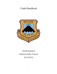 To Take a Look at the Air Force JROTC Cadet Handbook