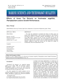 Effects of Green Tea Extracts on Freshwater Angelfish, Pterophyllum Scalare Growth Performance