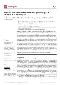 Regional Prevalence of Intermediate Leptospira Spp. in Humans: a Meta-Analysis