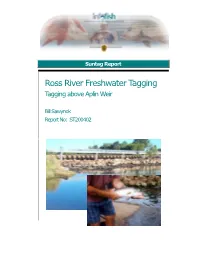 Ross River Freshwater Tagging Tagging Above Aplin Weir