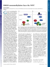 H4K20 Monomethylation Faces the WNT