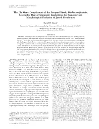 Implications for Genomic and Morphological Evolution of Jawed Vertebrates