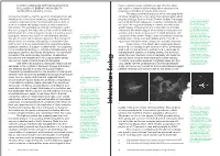 Infrastructure Ecology a B Have Vast Repercussions in the Mechanics of Their Operation