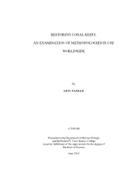 Restoring Coral Reefs: an Examination of Methodologies in Use Worldwide