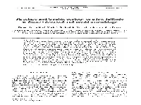Structure and Trophic Ecology of a Low Latitude Midwater Decapod and Mysid Assemblage