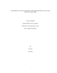 Wei Thesis-Final