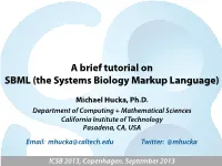 SBML (The Systems Biology Markup Language), Model Databases, And