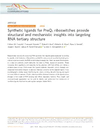 Synthetic Ligands for Preq1 Riboswitches Provide Structural and Mechanistic Insights Into Targeting RNA Tertiary Structure