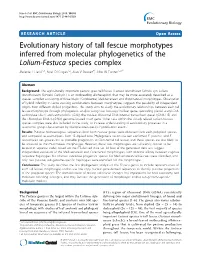 Evolutionary History of Tall Fescue Morphotypes Inferred From