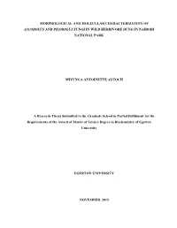 Morphological and Molecular Characterization of Ascobolus and Pilobolus Fungi in Wild Herbivore Dung in Nairobi National Park Mi