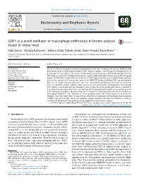 GDF1 Is a Novel Mediator of Macrophage Infiltration in Brown