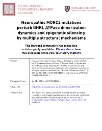 Neuropathic MORC2 Mutations Perturb GHKL Atpase Dimerization Dynamics and Epigenetic Silencing by Multiple Structural Mechanisms