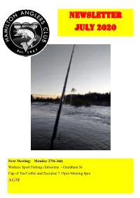 Newsletter July 2020