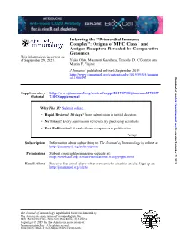 “Primordial Immune Complex”: Origins of MHC Class I and Antigen Receptors Revealed by Comparative Genomics