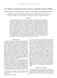 Iron Sulfides from Magnetotactic Bacteria: Structure, Composition
