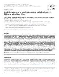 Auxin Involvement in Tepal Senescence and Abscission in Lilium: a Tale of Two Lilies