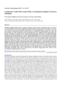 Comparative Light Microscopic Study of Trigeminal Ganglion Neurons in Mammals