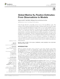 Global Marine N2 Fixation Estimates: from Observations to Models