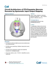 Circuit Architecture of VTA Dopamine Neurons Revealed by Systematic Input-Output Mapping