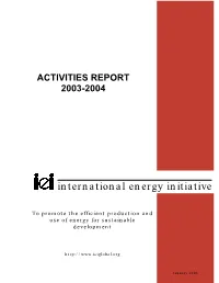 International Energy Initiative