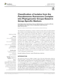 Classification of Isolates from the Pseudomonas Fluorescens