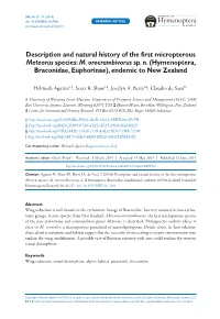 ﻿﻿﻿﻿﻿Description and Natural History of the First Micropterous ﻿﻿Meteorus﻿﻿ Species