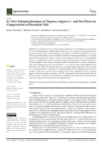 In Vitro Polyploidization of Thymus Vulgaris L. and Its Effect on Composition of Essential Oils