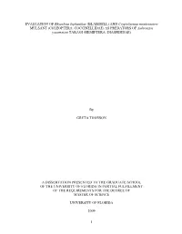 University of Florida Thesis Or Dissertation Formatting