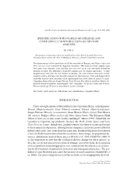 Identification of Hungarian Mustelidae and Other Small Carnivores Using Guard Hair Analysis